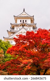 Himeji Castle, also called White Heron Castle, in autumn season, Japan. 