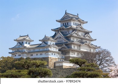 Himeji Castle During Cherry Blossom Time