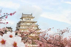 Himeji Castle And Full Cherry Blossom, One Of Japan's Premier Historic Castles, Japan