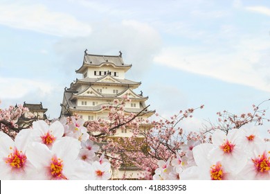 Himeji Castle And Full Cherry Blossom,
