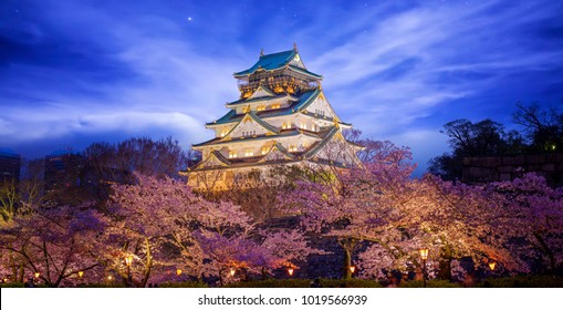 Himeji Castle in Osaka with full bloom of Sakura in Japan at night, this immage can use for travel concept for Asia, japan, kyoto and Osaka