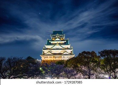 Himeji Castle in Osaka with full bloom of Sakura in Japan at night, this immage can use for travel concept for Asia, japan, kyoto and Osaka