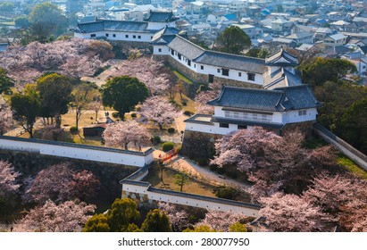 Himeji Castle in spring cherry blossom season, Hyogo, Japan
