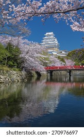 Himeji Castle in spring, Japan
