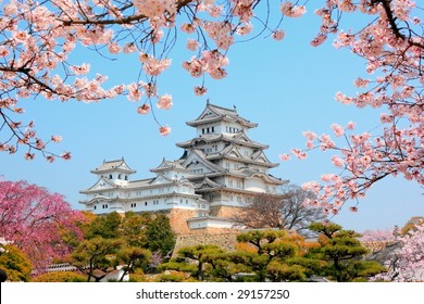 himeji castle surrounded by cherry blossom