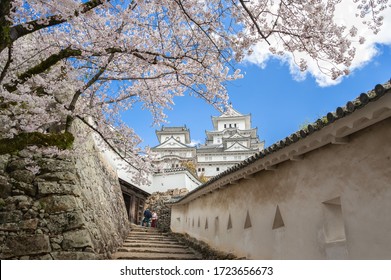 Himeji, Japan - April 2019: Entrance walkway to Himeji-ji Castle, with the Cherry Blossoms in full bloom