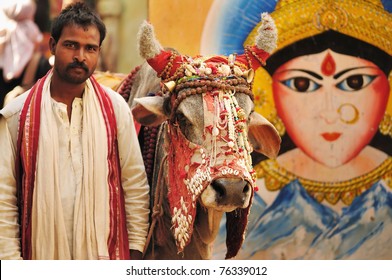 A hindu holy man with his decorated holy cow from Varanasi, India