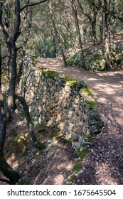 Hinking Trail In Orient Mallorca