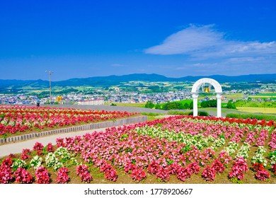 Hinode Park In Furano Hokkaido