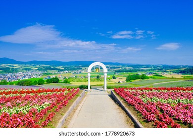 Hinode Park In Furano Hokkaido