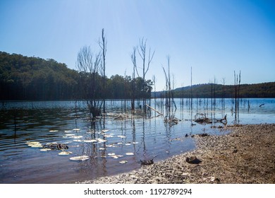 Hinze Dam Near Gold Coast