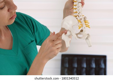 Hip Joint Pain. Doctor Physiotherapist Holding Human Spine Model