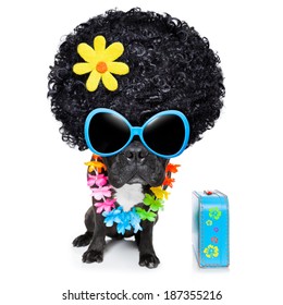 Hippie Dog Of The Seventies With Big Afro Wig  A Yellow Flower