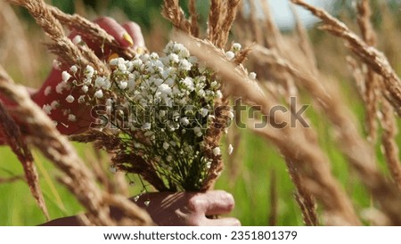 A hippie girl stands in a field with tall grass. Woman holding a bouquet of small flowers of gypsophila wild flowers in her hands