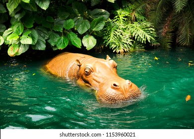 Hippo asia style in pond jungle.