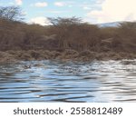 hippo ears poking out of the water, lakescape in the trees, cloudy day