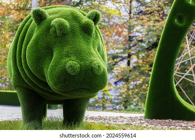 Hippopotamus created from bushes at green animals. Hippo. Topiary gardens. 
