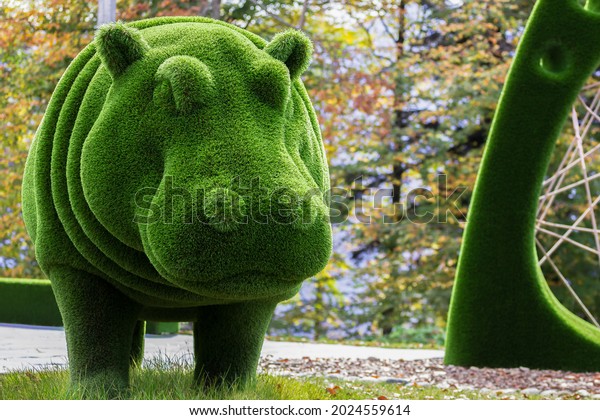 Hippopotamus created from bushes at green animals.\
Hippo. Topiary gardens.\
