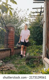 Hipster Trendy Millennial Woman In Pink Rubber Boots Holding Basket Of Red Ripe Tomato At Vegetable Garden Greenhouse. Fall Summer Harvest Season. Agriculture Eco Friendly Natural Organic Food Produce