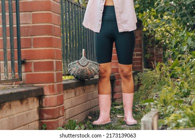 Hipster Trendy Millennial Woman In Pink Rubber Boots Holding Basket Of Red Ripe Tomato At Vegetable Garden Greenhouse. Fall Summer Harvest Season. Agriculture Eco Friendly Natural Organic Food Produce