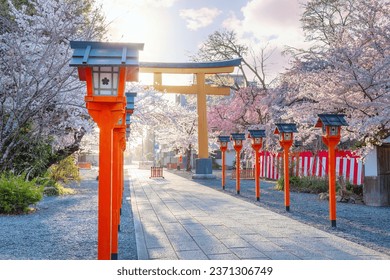 Hirano-jinja is the site of a cherry blossom festival annually since 985 during the reign of Emperor Kazan, and it has become the oldest regularly held festival in Kyoto