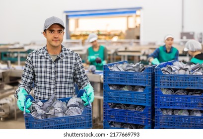 Hired Food Warehouse Worker Stacks Crates Of Red Cabbage