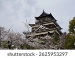 Hiroshima castle, Hiroshima, Japan - 5 Apr 2025: Capture the cherry blossom view with one of the 100 best castles - Hiroshima castle