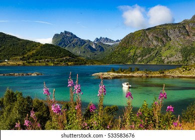 His Boat In Vesteralen, Northern Norway