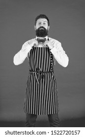 His Style Works Really Well To Compliment Beard. Bearded Man Fixing Bow Tie In Bib Apron. Elegant Hipster With Bearded Face. Bearded Bartender Or Cook In Work Uniform. Long Bearded Waiter Or Servant.