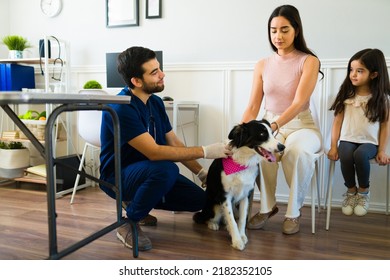 Hispanic Family Bringing Their Sick Border Collie Dog To The Animal Hospital For A Medical Examination