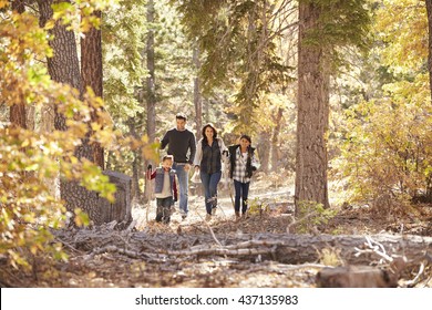 Hispanic Family Of Four Walking Together In A Forest