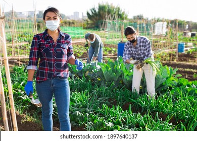 Hispanic Female Gardener In Protective Face Mask Working In Vegetable Garden In Springtime. Concept Of Viral Infection Prevention Or Dust Protection