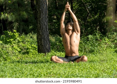 Hispanic And Latin Man, Meditating In The Middle Of A Forest, Receiving Sun Rays, Brown Skin, Mexico Latin America