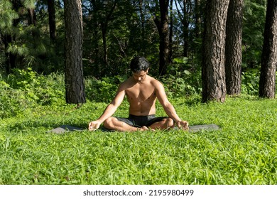 Hispanic And Latin Man, Meditating In The Middle Of A Forest, Receiving Sun Rays, Brown Skin, Mexico Latin America