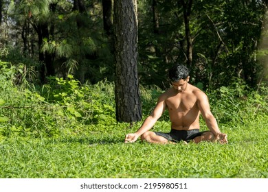 Hispanic And Latin Man, Meditating In The Middle Of A Forest, Receiving Sun Rays, Brown Skin, Mexico Latin America