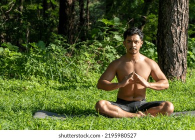 Hispanic And Latin Man, Meditating In The Middle Of A Forest, Receiving Sun Rays, Brown Skin, Mexico Latin America