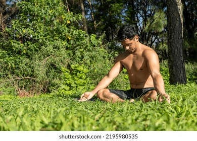 Hispanic And Latin Man, Meditating In The Middle Of A Forest, Receiving Sun Rays, Brown Skin, Mexico Latin America