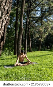 Hispanic And Latin Man, Meditating In The Middle Of A Forest, Receiving Sun Rays, Brown Skin, Mexico Latin America