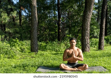 Hispanic And Latin Man, Meditating In The Middle Of A Forest, Receiving Sun Rays, Brown Skin, Mexico Latin America