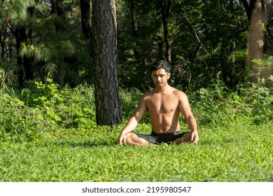 Hispanic And Latin Man, Meditating In The Middle Of A Forest, Receiving Sun Rays, Brown Skin, Mexico Latin America