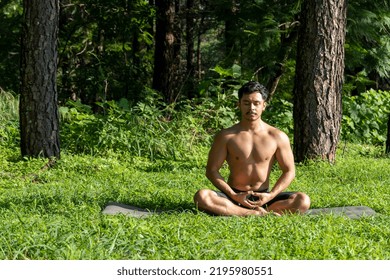 Hispanic And Latin Man, Meditating In The Middle Of A Forest, Receiving Sun Rays, Brown Skin, Mexico Latin America