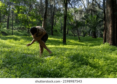 Hispanic And Latin Man, Meditating In The Middle Of A Forest, Receiving Sun Rays, Brown Skin, Mexico Latin America