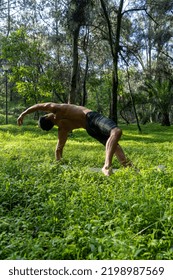 Hispanic And Latin Man, Meditating In The Middle Of A Forest, Receiving Sun Rays, Brown Skin, Mexico Latin America