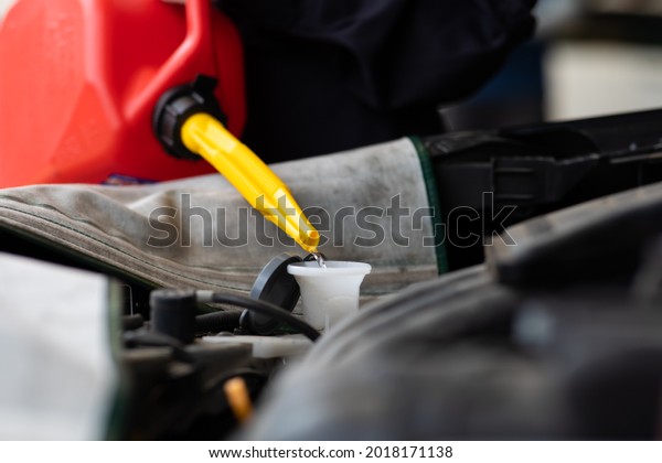 Hispanic mechanic woman filling water to car\
radiator. Auto mechanic working in\
garage