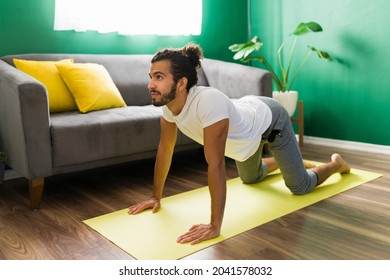 Hispanic Young Man Doing Breathing Exercises While Practicing A Cat Cow Yoga Pose 