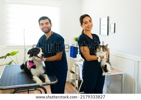 Hispanic young woman and man working as professional vets and treating a dog and a cat at the animal hospital 