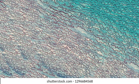 Histology Microscope Texture Aorta Elastic