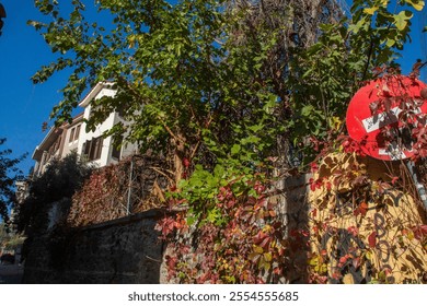 Historic building covered in vibrant red ivy during autumn. A stunning display of seasonal beauty and classic urban architecture. - Powered by Shutterstock