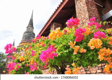 Historic buildings and colorful flowers