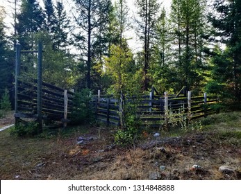 Historic Cattle Chute